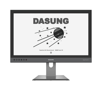 Monitor LED 24" (23,5"-26,4") Dasung Paperlike